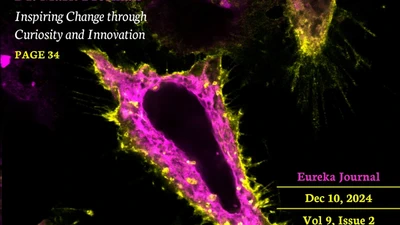 Focused Chaos: An Art in Sciences? featured image